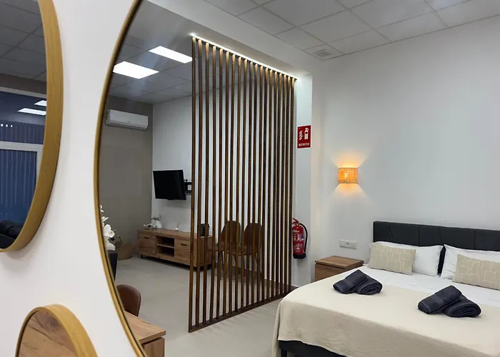 Basset 3 * Valencia